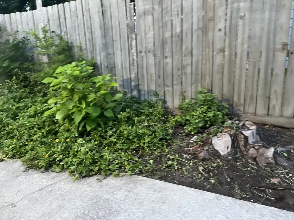 Reliable landscape design near you in Corpus Christi, TX by J Martinez & Son Lawn Service