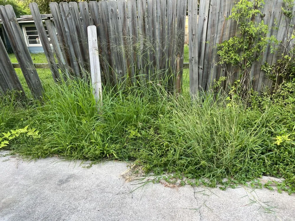 Expert yard maintenance in Corpus Christi, TX - J Martinez & Son Lawn Service