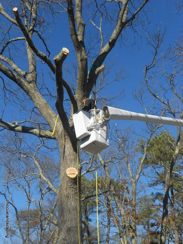 Affordable landscaping services for homes in Egg Harbor Township, NJ by J. McCue Landscaping