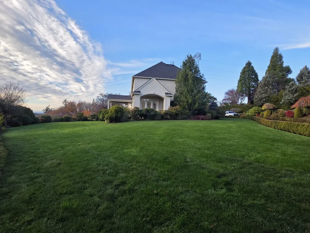 Custom yard cleanup service in Forest Grove, OR - J Michael Landscape Maintenance