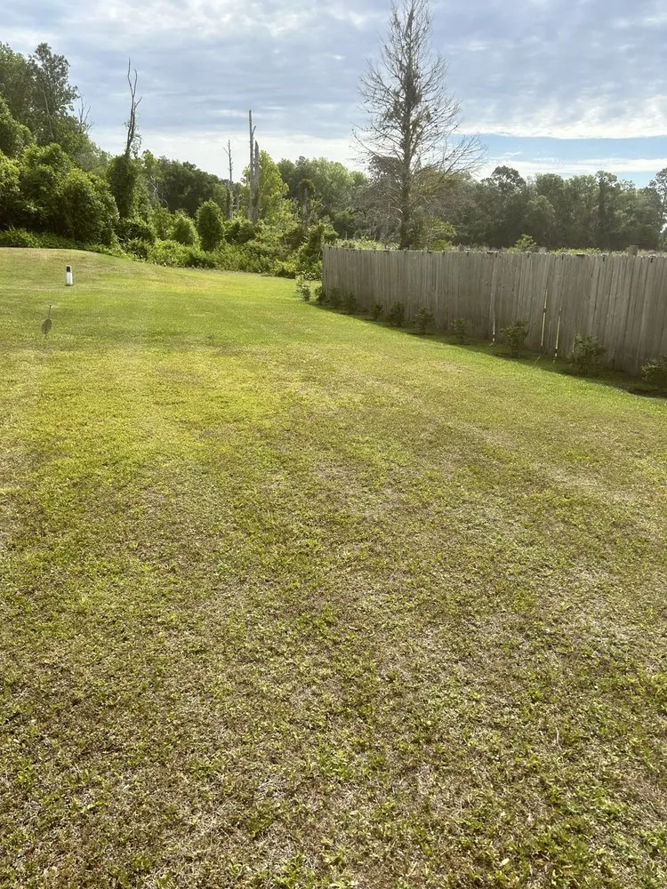 Top-rated outdoor landscaping in Palatka, FL - J Milton Lawn Care Service