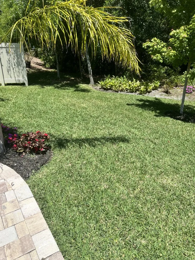 Trusted yard cleanup service experts serving Palatka, FL - J Milton Lawn Care Service