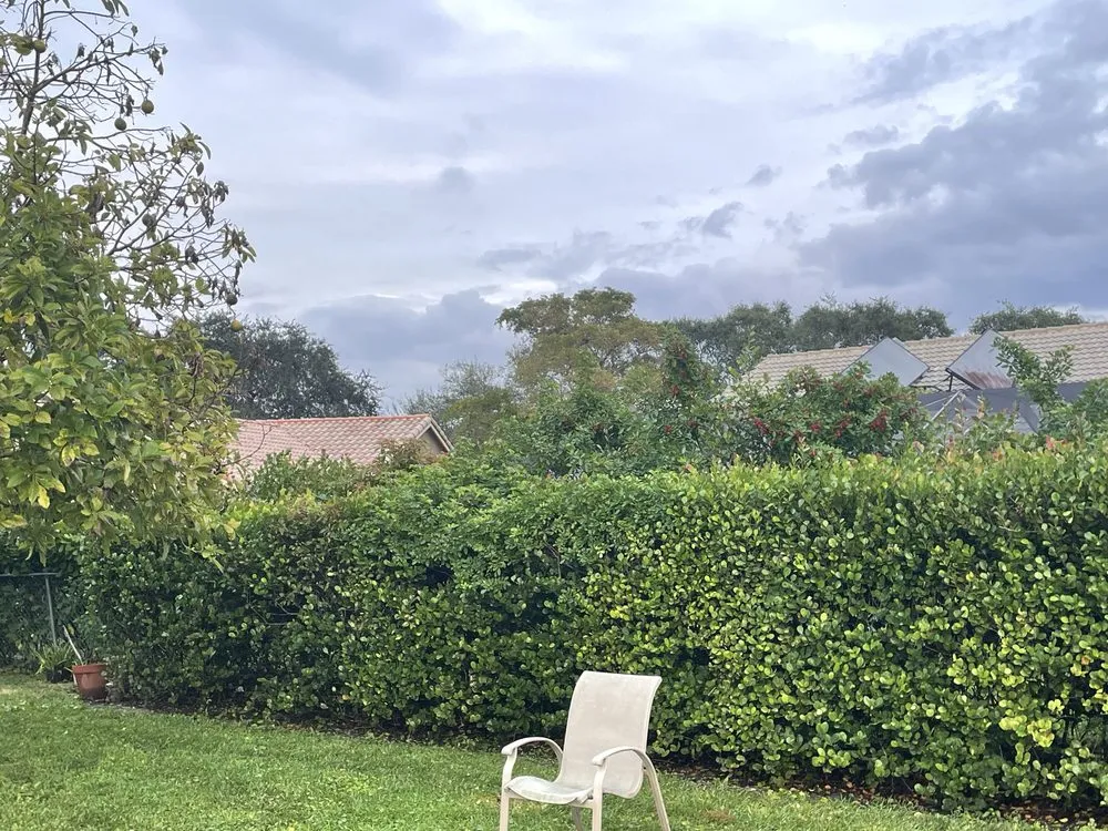 Trusted lawn mowing service for year-round maintenance in Pompano Beach, FL by J Molina Landscaping