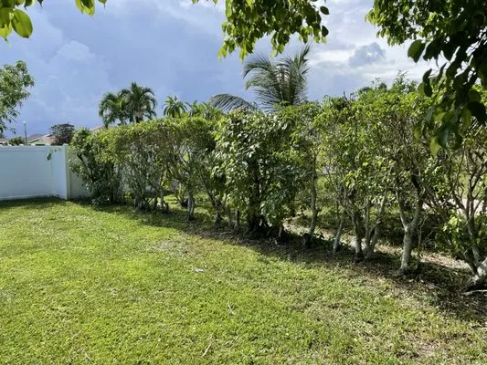 J Molina Landscaping Logo