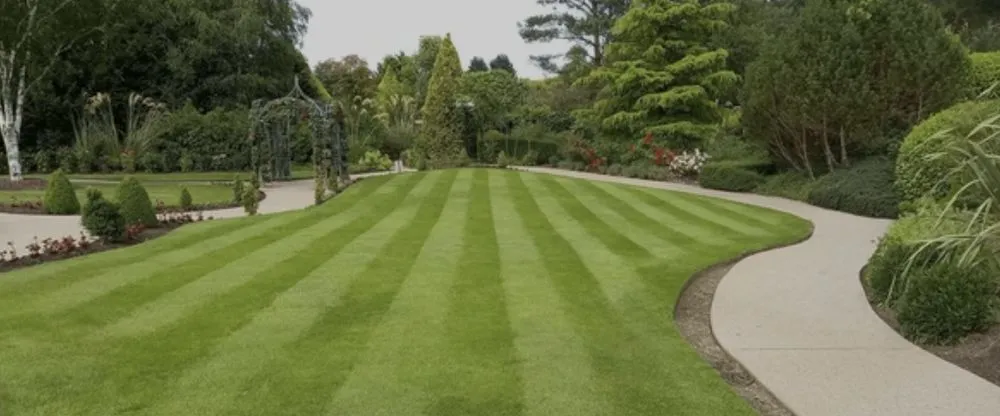 Reliable yard cleanup service in Harahan, LA by J-Money Grass Cutting