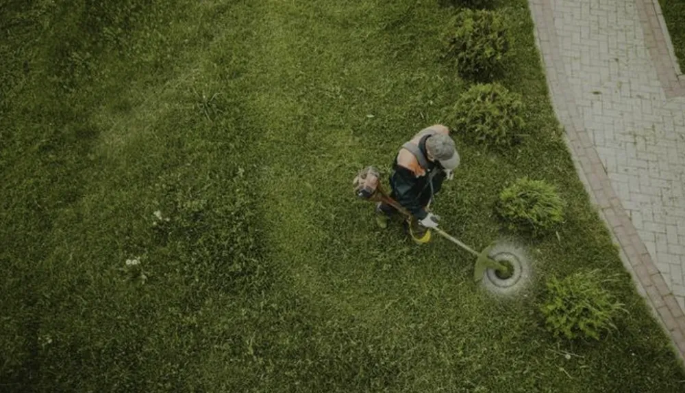 Top-rated yard cleanup service in Harahan, LA by J-Money Grass Cutting