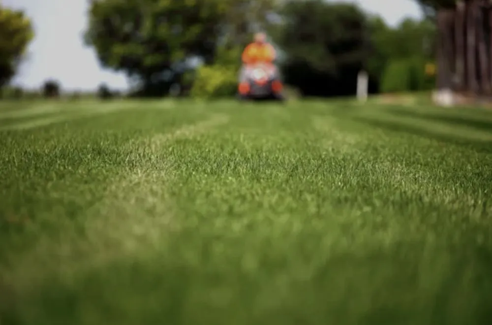 Custom outdoor landscaping in Harahan, LA by J-Money Grass Cutting