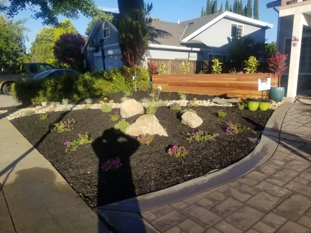 Professional outdoor landscaping in Sunnyvale, CA - J Mora Landscaping