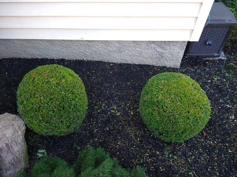 Local garden landscaping in Newport, KY by J. Morgan Outdoor Designs