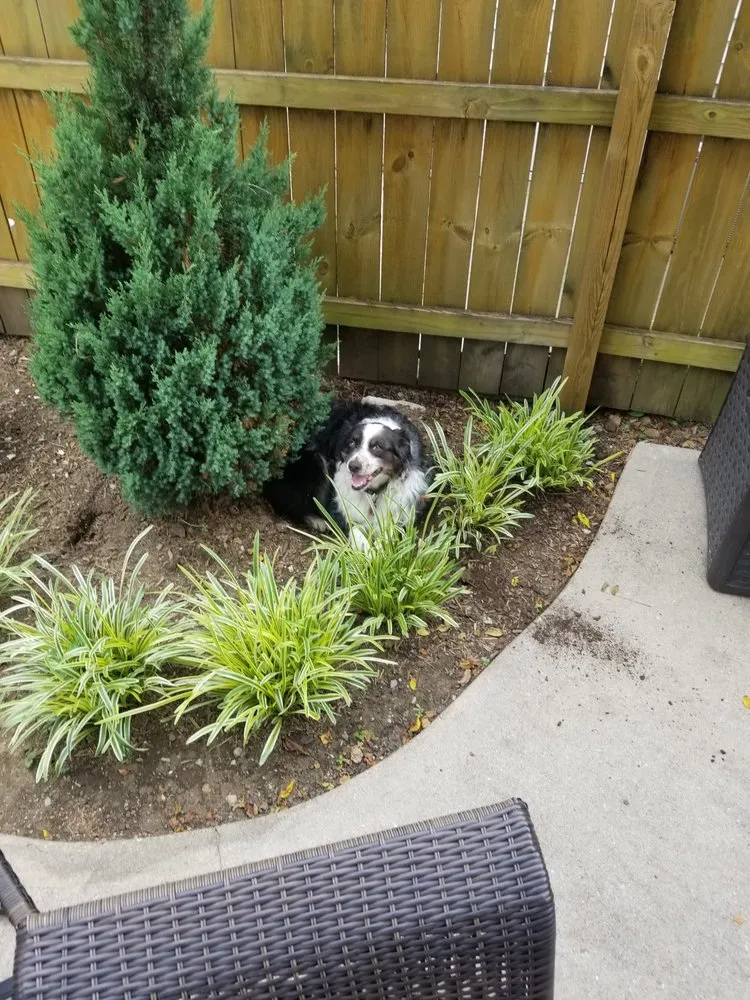 Professional landscaping services in Newport, KY - J. Morgan Outdoor Designs