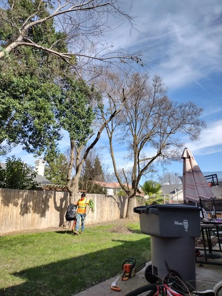 Professional garden landscaping for year-round maintenance across Fresno, CA - J N A Lawn and Garden Service