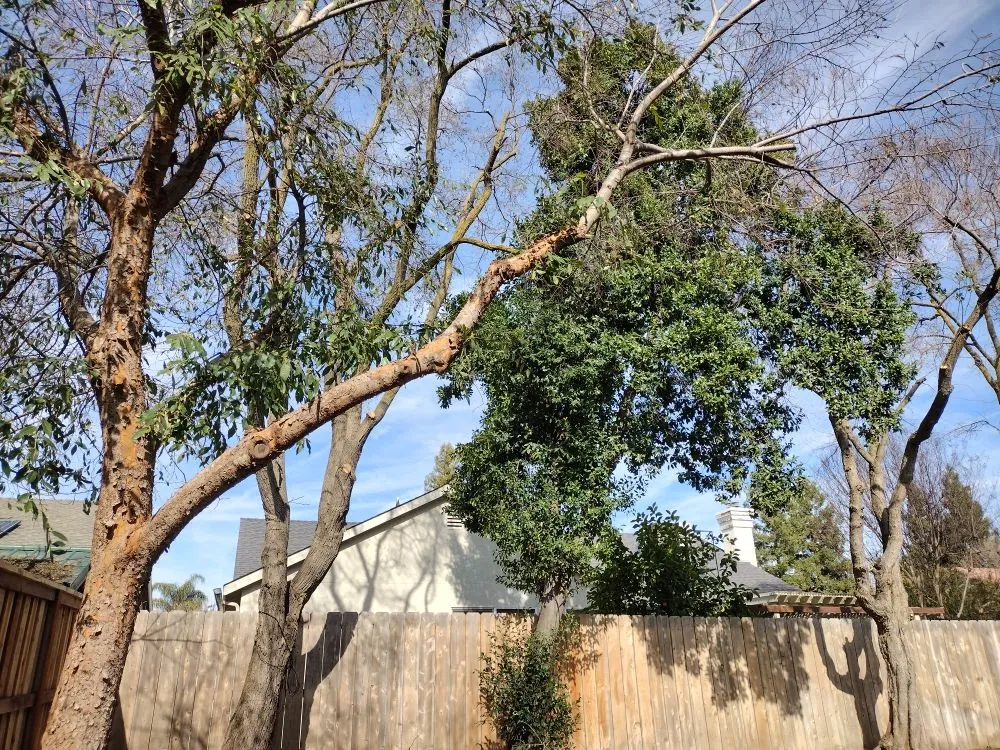 Professional outdoor landscaping experts serving Fresno, CA - J N A Lawn and Garden Service