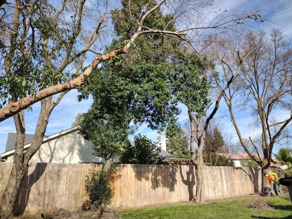 Affordable landscape design in Fresno, CA by J N A Lawn and Garden Service