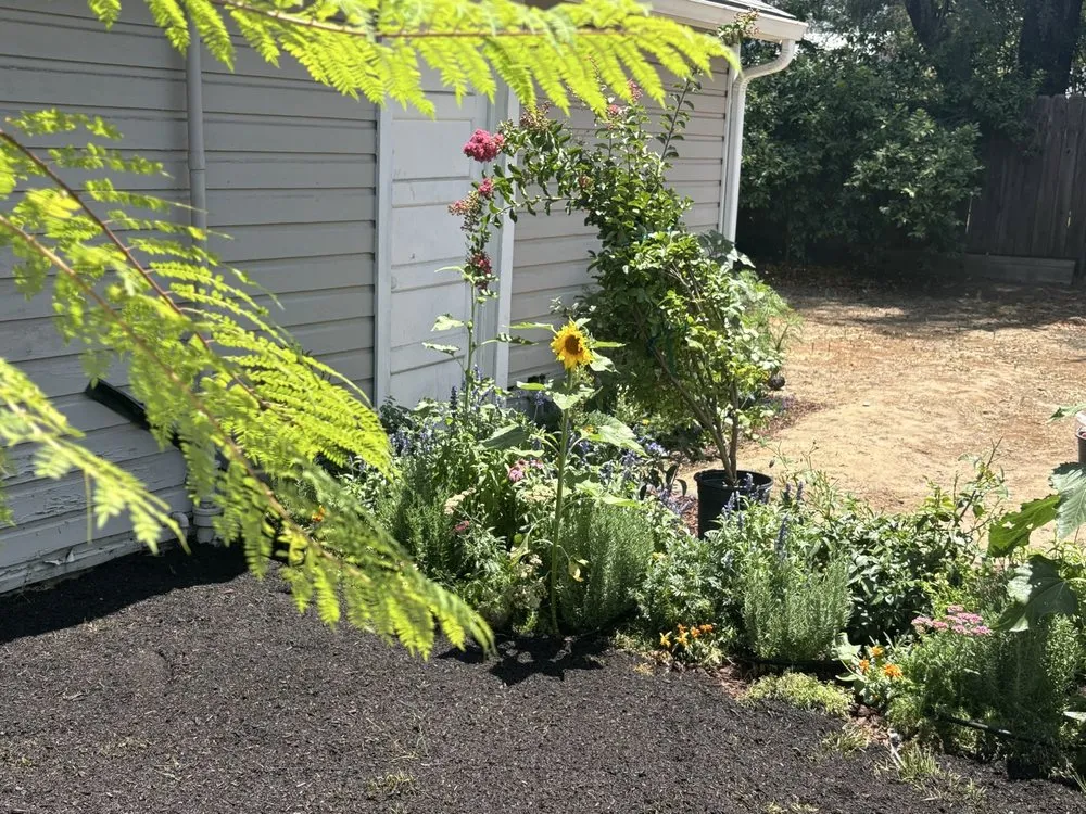 Local lawn care service in Fresno, CA - J N A Lawn and Garden Service