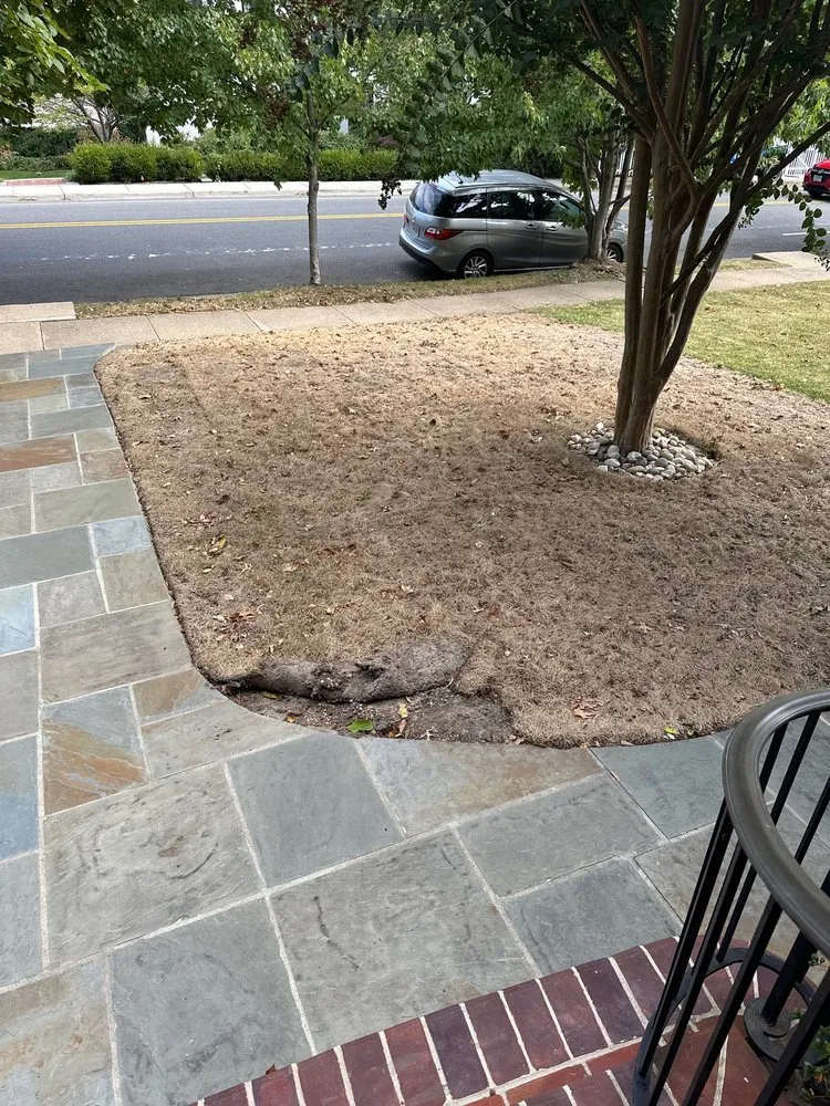 Local landscaping services for year-round maintenance across Alexandria, VA - J N King Lawn Care