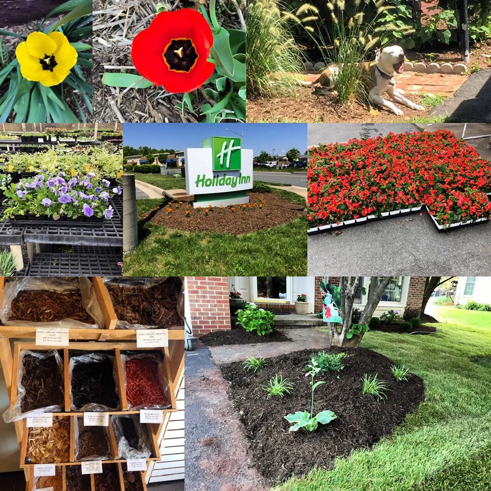 Reliable lawn mowing service in Alexandria, VA by J N King Lawn Care