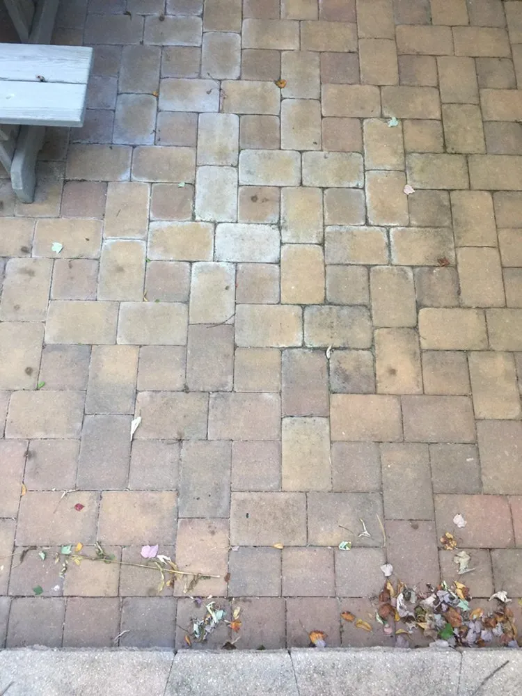 Trusted lawn care service with custom design across Alexandria, VA - J N King Lawn Care