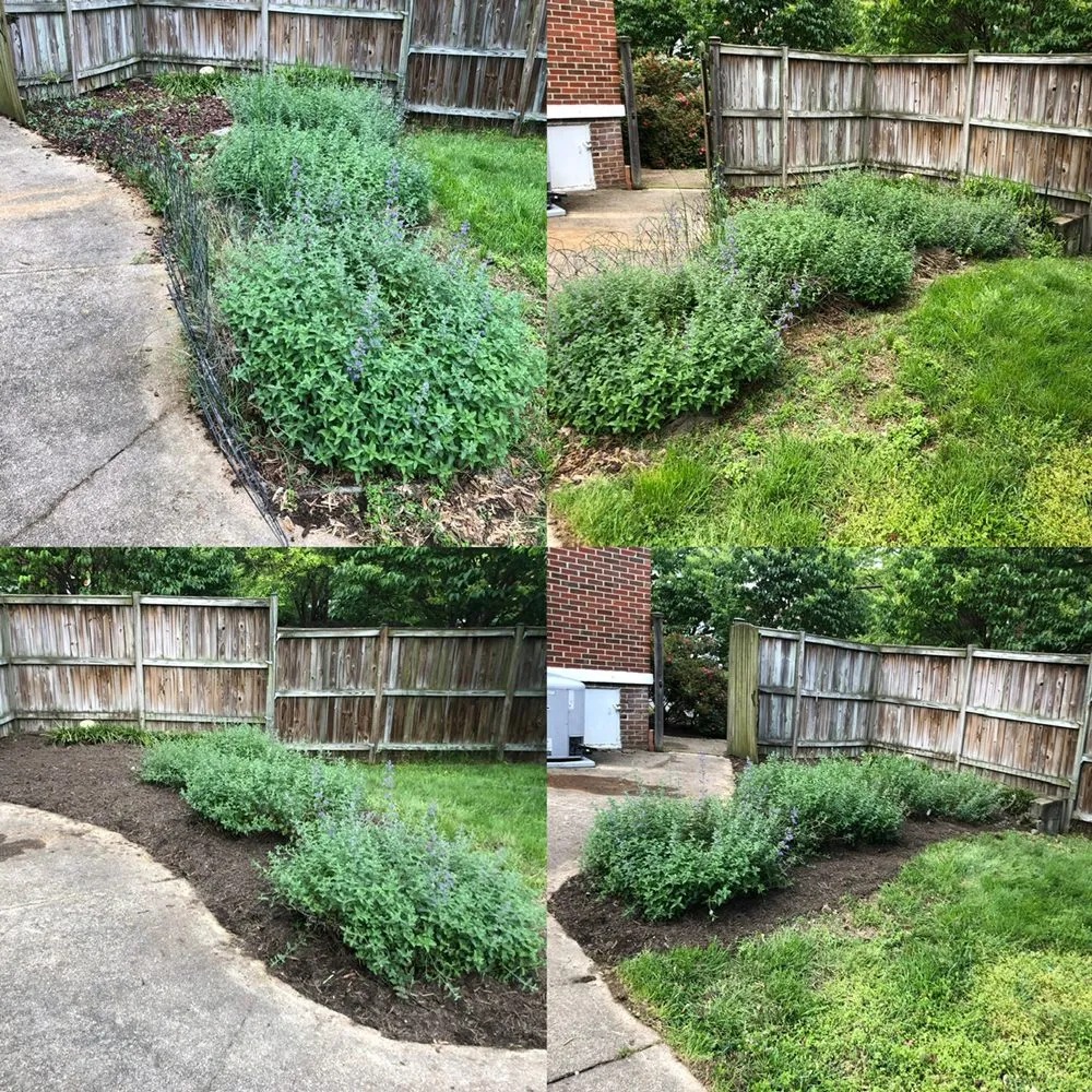 Custom yard cleanup service in Alexandria, VA by J N King Lawn Care