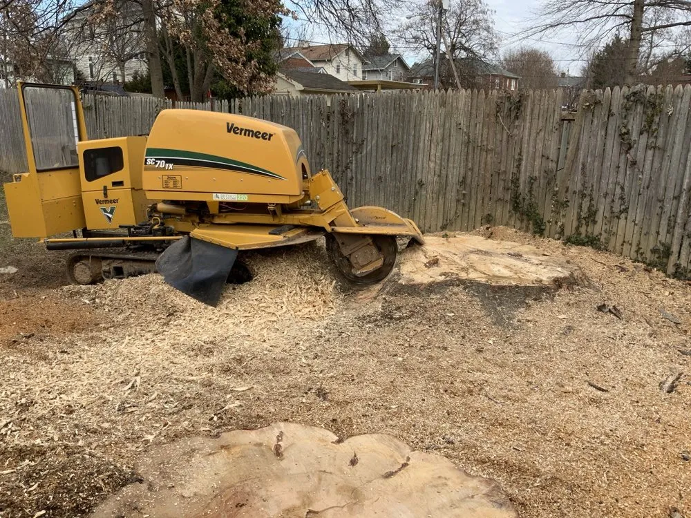 Professional lawn mowing service in Alexandria, VA - J N King Lawn Care