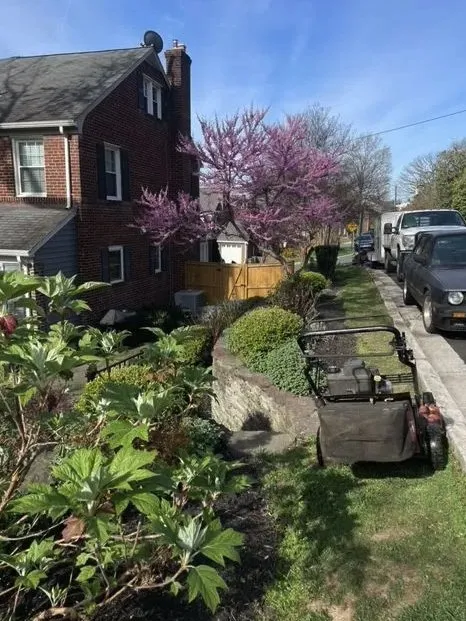 Local landscaping services for residential properties in Alexandria, VA by J N King Lawn Care