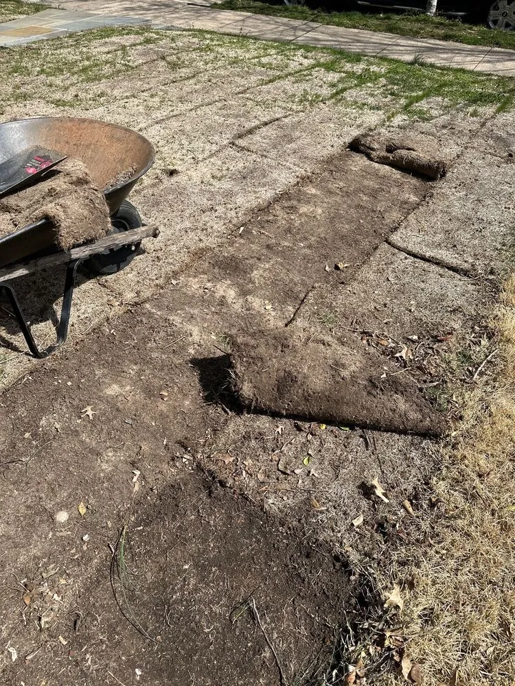 Trusted yard cleanup service experts serving Alexandria, VA - J N King Lawn Care