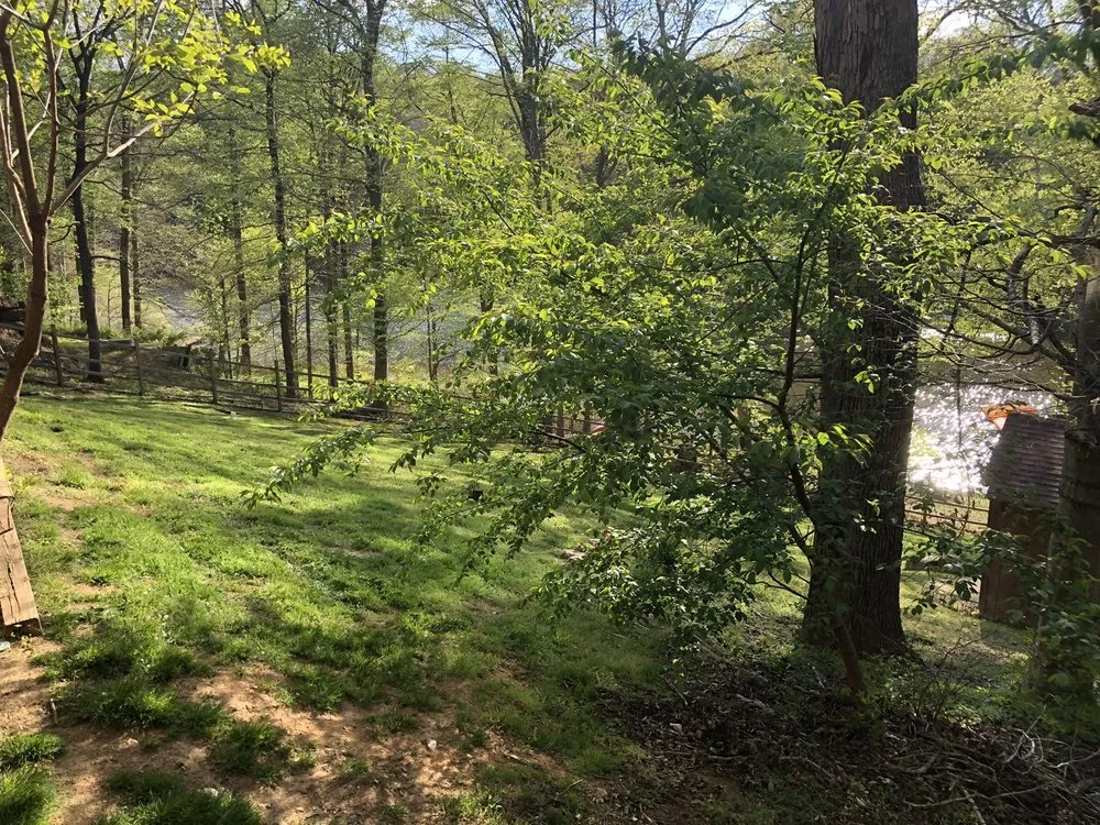 Top-rated landscape installation for outdoor upgrades across Alexandria, VA - J N King Lawn Care