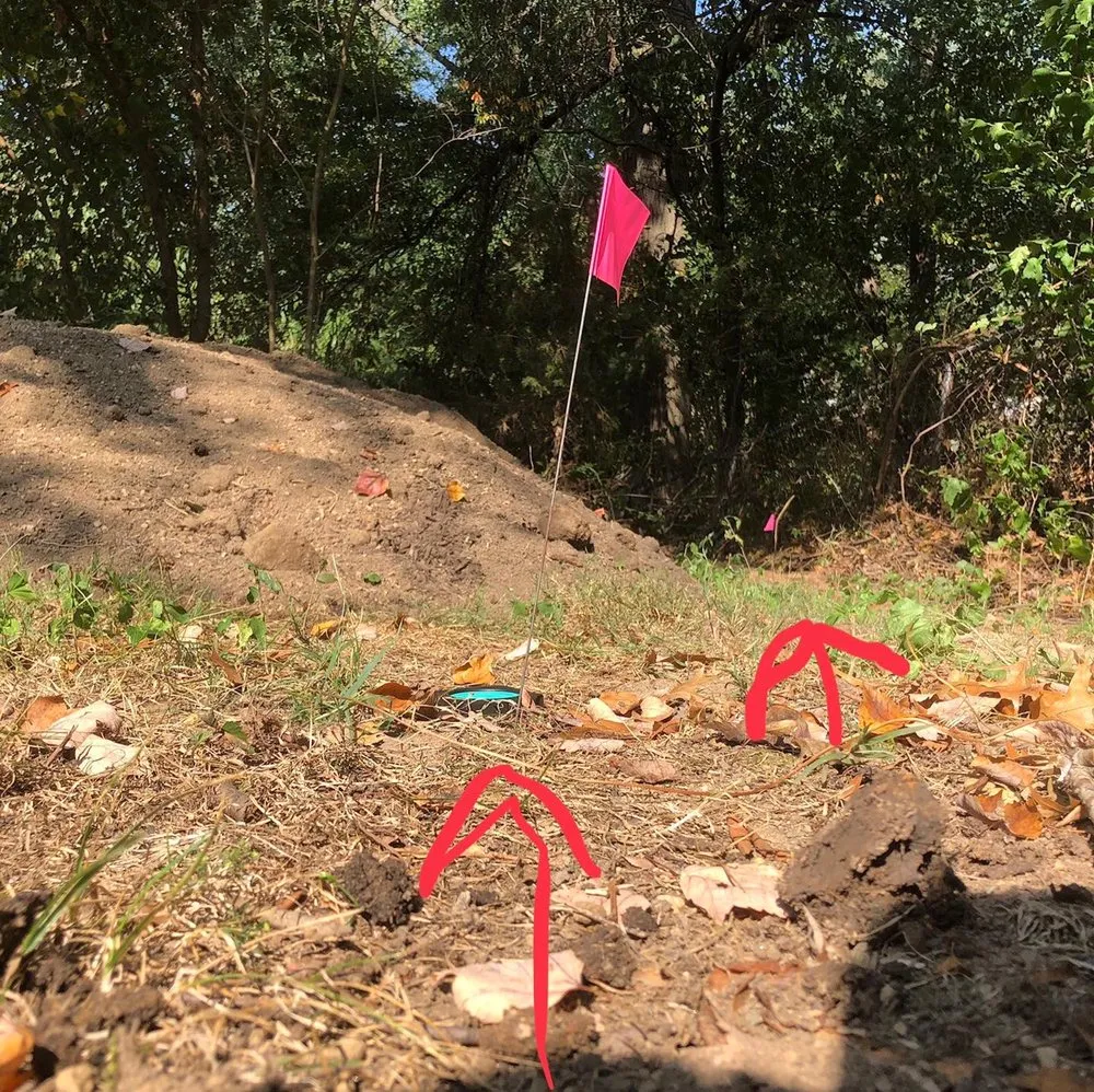 Custom lawn mowing service in Alexandria, VA by J N King Lawn Care