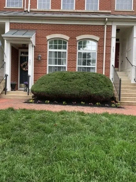Custom yard cleanup service near you across Alexandria, VA - J N King Lawn Care