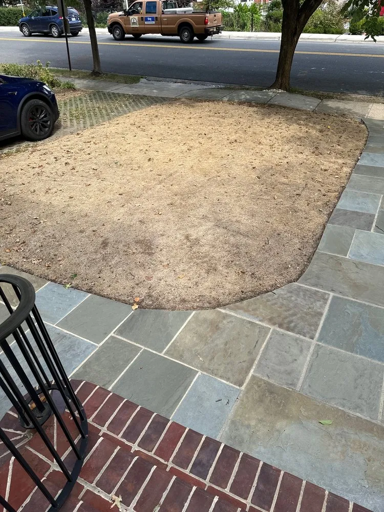 Local yard maintenance in Alexandria, VA by J N King Lawn Care