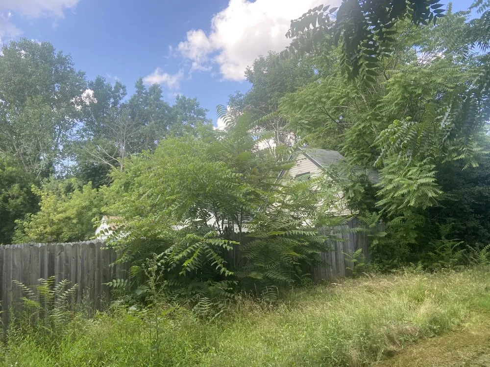 Reliable yard cleanup service in Cheektowaga, NY by J N R Landscaping