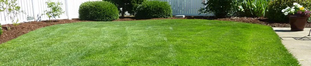 Custom yard maintenance in Urbana, IL - J N R Lawn Care