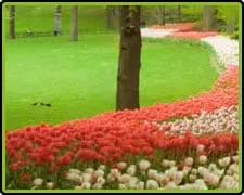 Local yard maintenance in New Castle, PA - J Nesbit Hauling 422 Landscape Supply