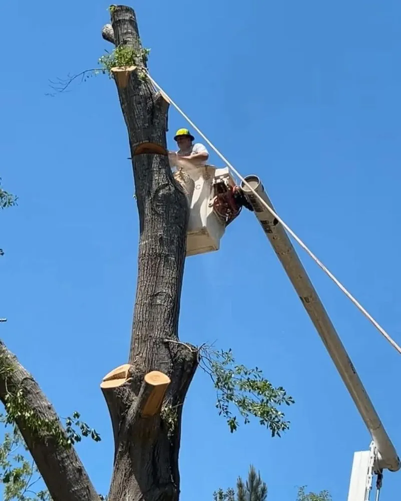 Expert garden landscaping in Jasper, FL by J O B Landscaping And Tree Removal Services