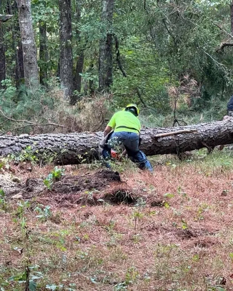 Affordable yard cleanup service in Jasper, FL by J O B Landscaping And Tree Removal Services