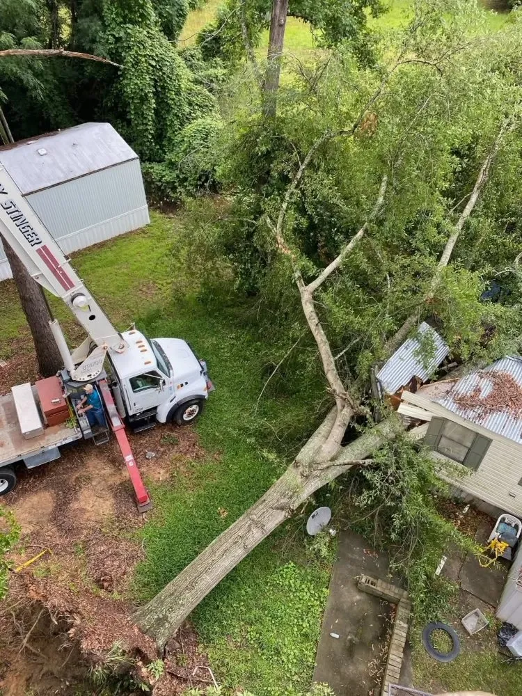 Trusted outdoor landscaping in Jasper, FL - J O B Landscaping And Tree Removal Services