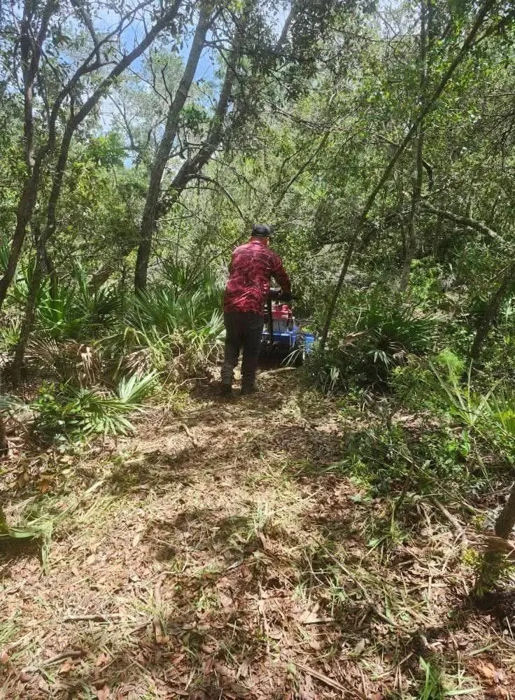 Reliable landscape installation experts serving Jasper, FL - J O B Landscaping And Tree Removal Services