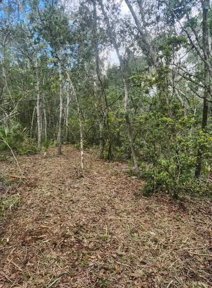 Custom lawn care service for homes across Jasper, FL - J O B Landscaping And Tree Removal Services