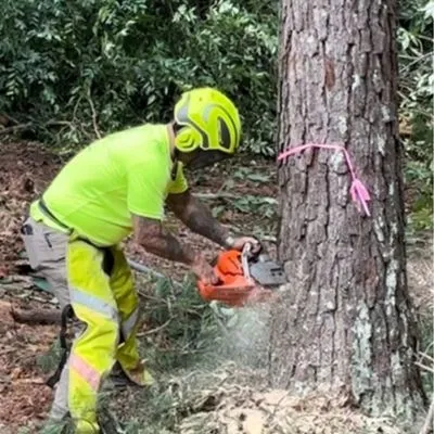 J O B Landscaping And Tree Removal Services