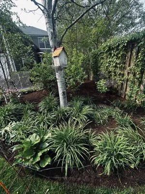 J-Olivarez Landscaping