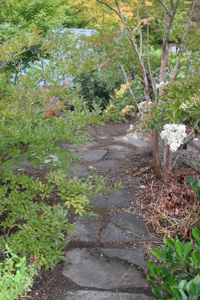Top-rated yard cleanup service in Vancouver, WA by J P Stone Contractors