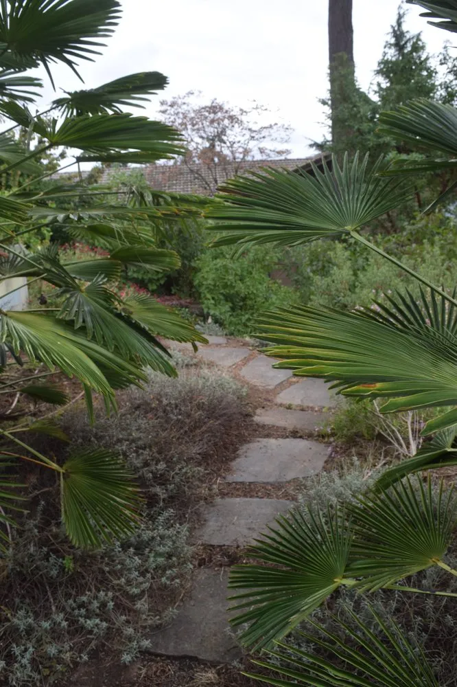 Affordable lawn care service in Vancouver, WA by J P Stone Contractors