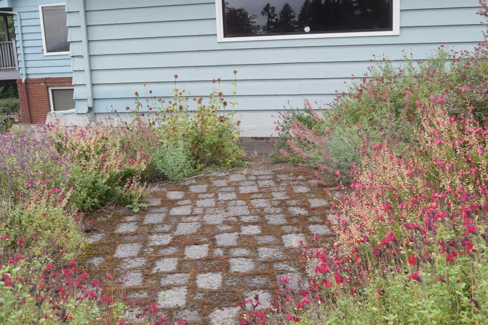 Local lawn mowing service for beautiful yards in Vancouver, WA by J P Stone Contractors