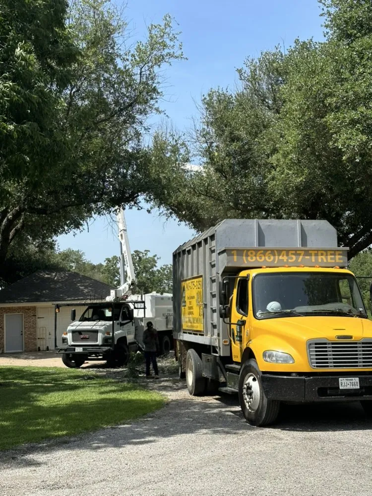 Reliable residential landscaping experts serving Canton, TX - J Parga Tree Service