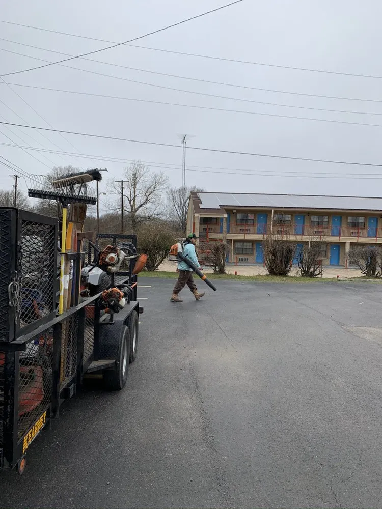 Professional landscape installation in Canton, TX - J Parga Tree Service