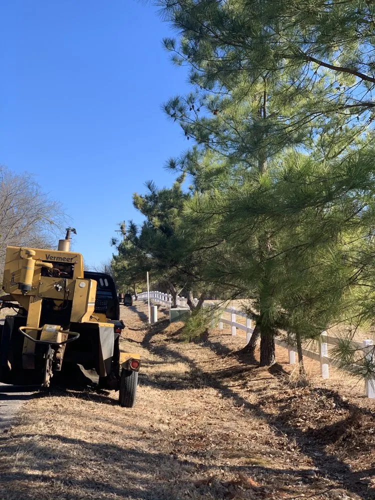 Custom garden landscaping near you in Canton, TX by J Parga Tree Service