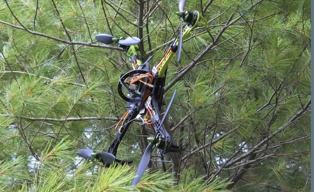 Professional yard maintenance in Canton, TX - J Parga Tree Service