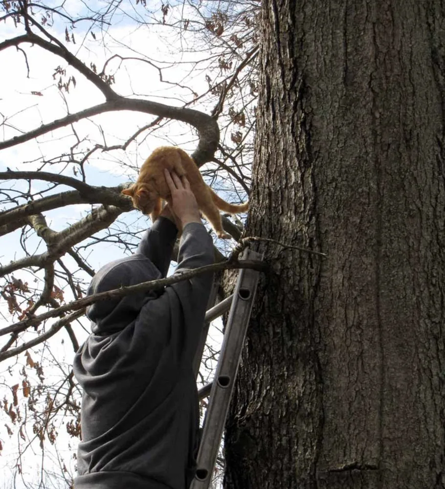 Local garden landscaping experts serving Canton, TX - J Parga Tree Service