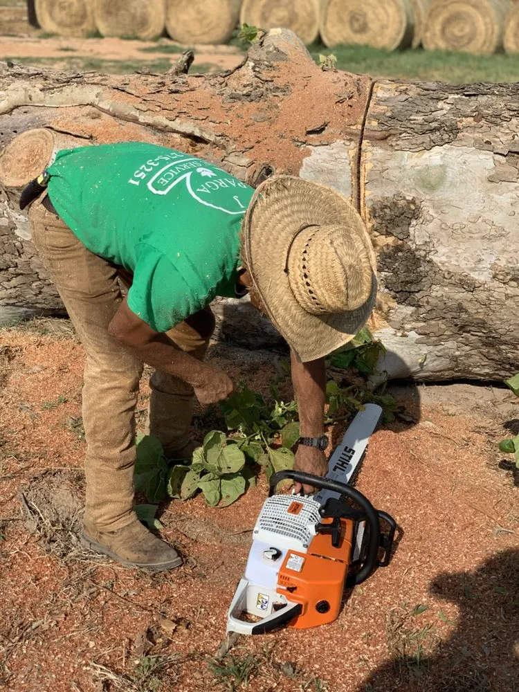 Reliable garden landscaping in Canton, TX - J Parga Tree Service