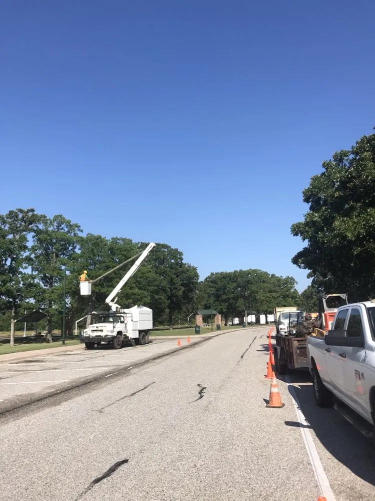 Professional landscape installation in Canton, TX - J Parga Tree Service