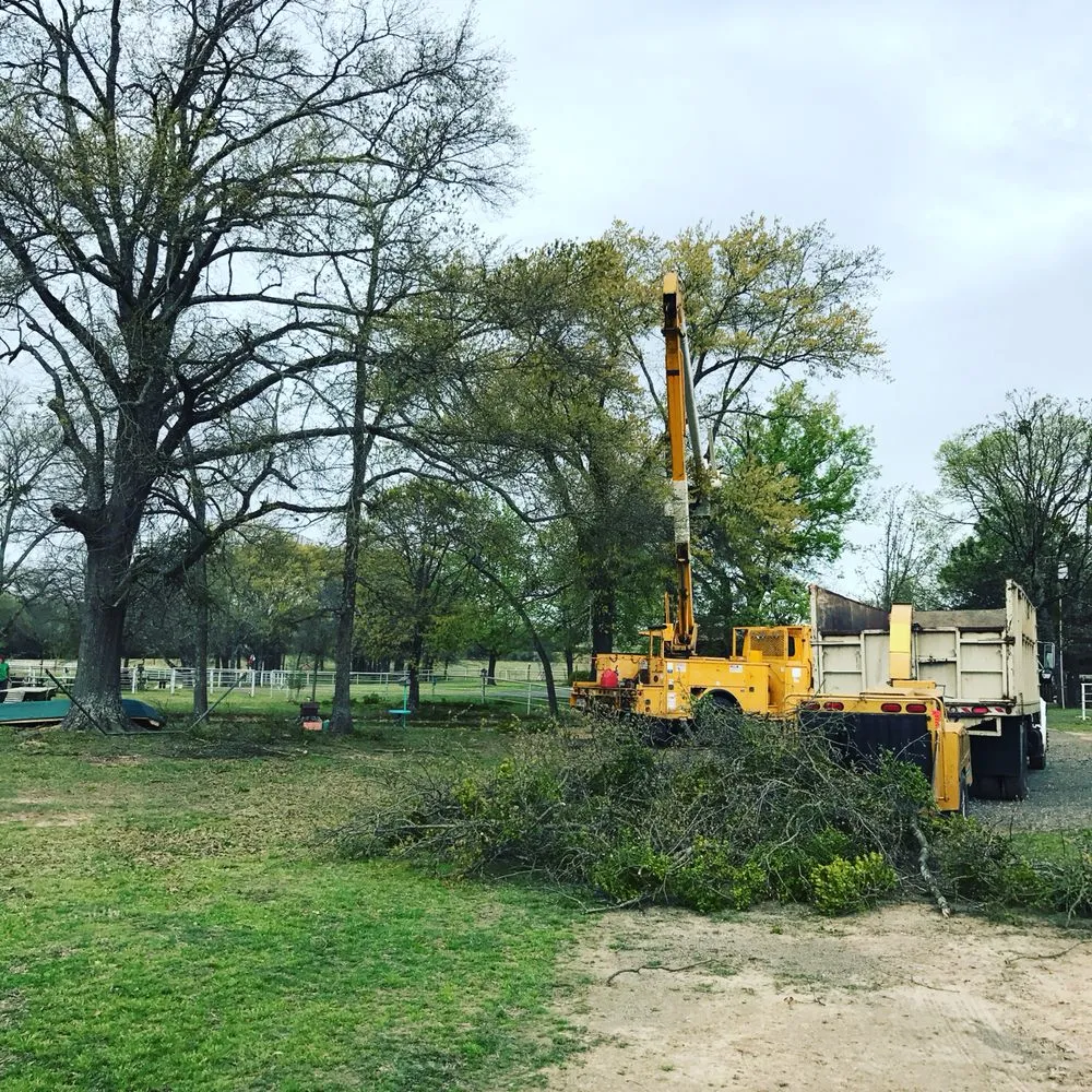 Reliable lawn mowing service in Canton, TX - J Parga Tree Service